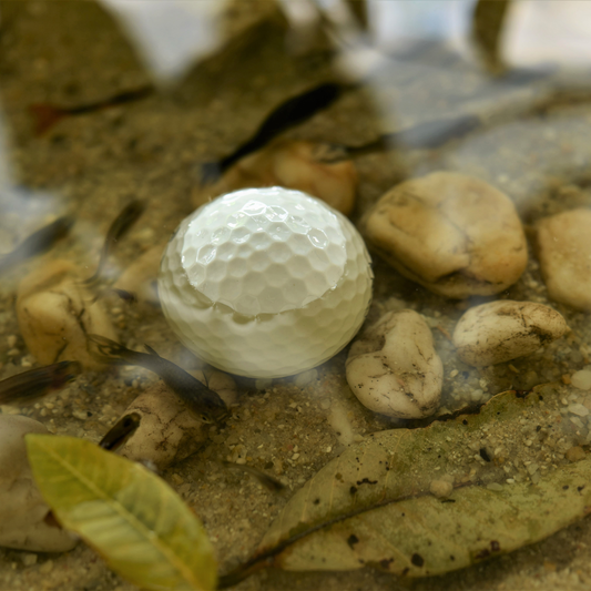 Water Hazards: Can Golf Balls Get Waterlogged?